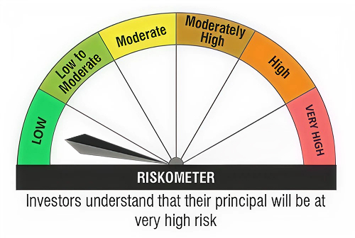 Investor understand that their principal will be at very high risk