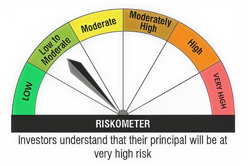 Investor understand that their principal will be at very high risk