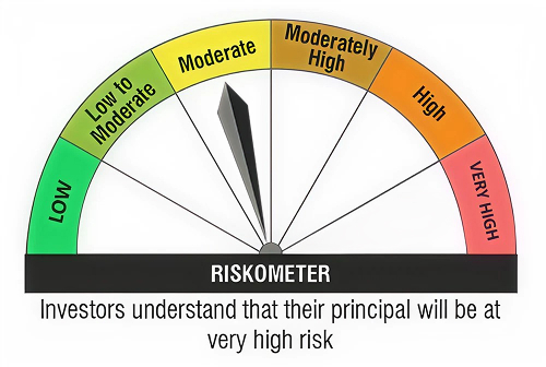 Investor understand that their principal will be at very high risk
