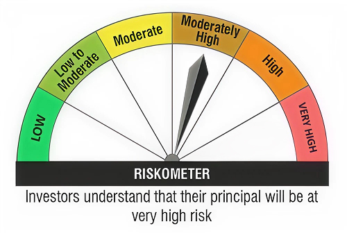 Investor understand that their principal will be at very high risk.